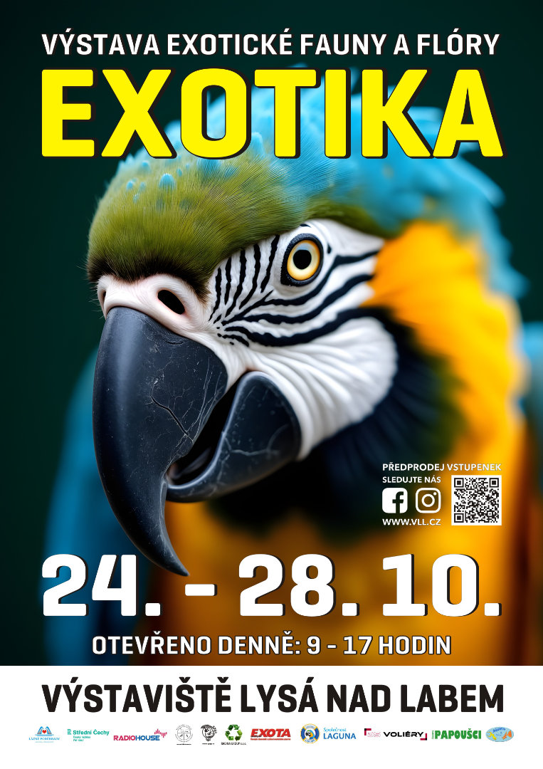 exotika 2024